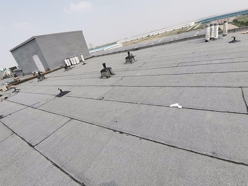 Molong Petroleum Machinery Roof Waterproofing